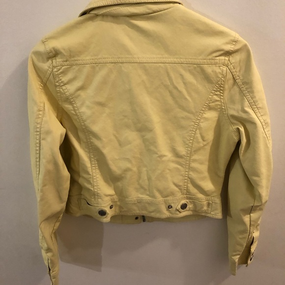 Yellow Jacket 🐝 - Picture 4 of 4